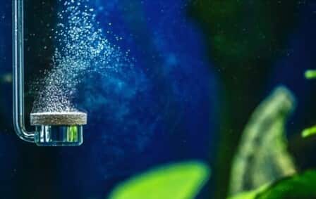 How To Set Up Aquarium Air Pump